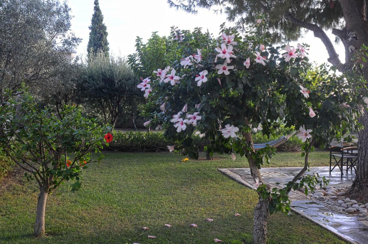 Messinian Blue Seaside Villa Каламата Экстерьер фото